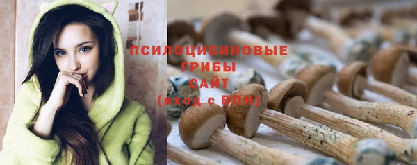 экстази Баксан