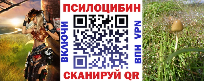 Псилоцибиновые грибы прущие грибы  Борисоглебск 